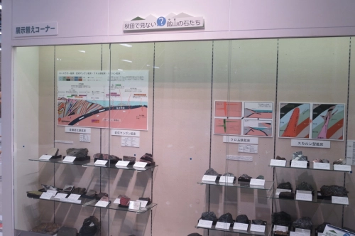 展示風景　秋田で見ない　やまの石たち