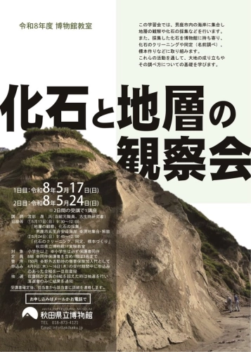 https://www.akita-museum.com/upfiles/photo/フライヤー　化石と地層の観察会