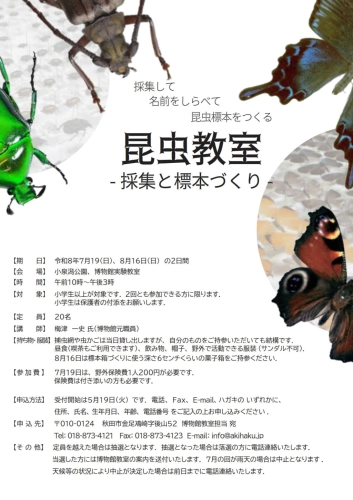 フライヤー　昆虫教室
