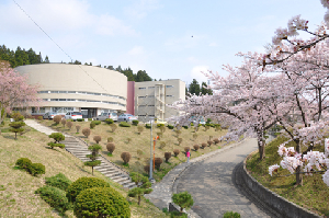 https://www.akita-museum.com/upfiles/photo/icon/外観