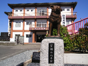 https://www.akita-museum.com/upfiles/photo/icon/外観