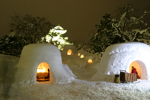https://www.akita-museum.com/upfiles/photo/icon/冬の外観